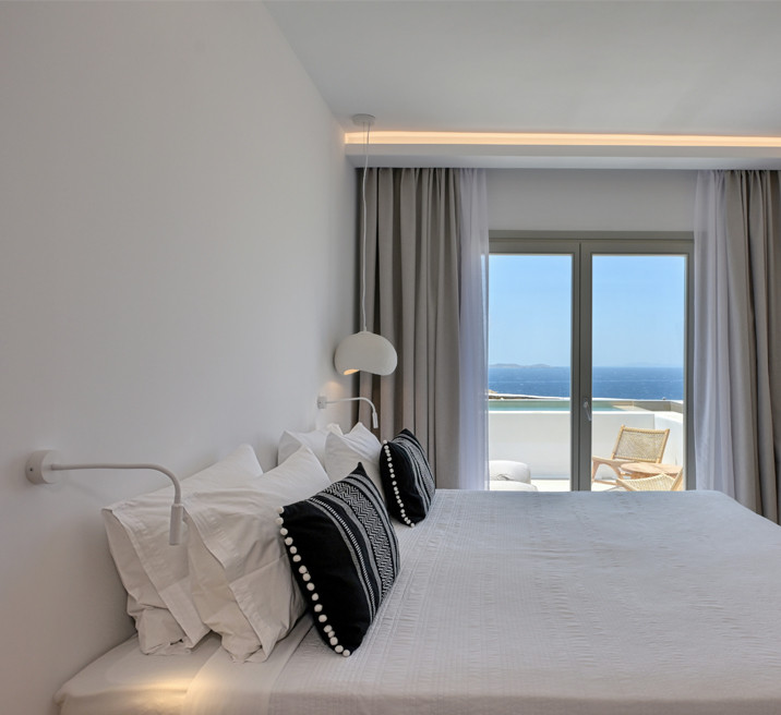DELUXE KING ROOM WITH MINI POOL